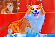 Digital Painting Photoshop Action, an Action Add-On by MRI STUDIO (Thumbnail 10 of 25)