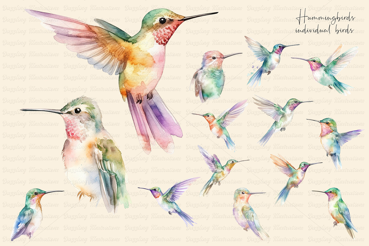 Watercolor Hummingbird and Flowers, an Animal Illustration by Dazzling Art Boutique (Photo 2 of 8)