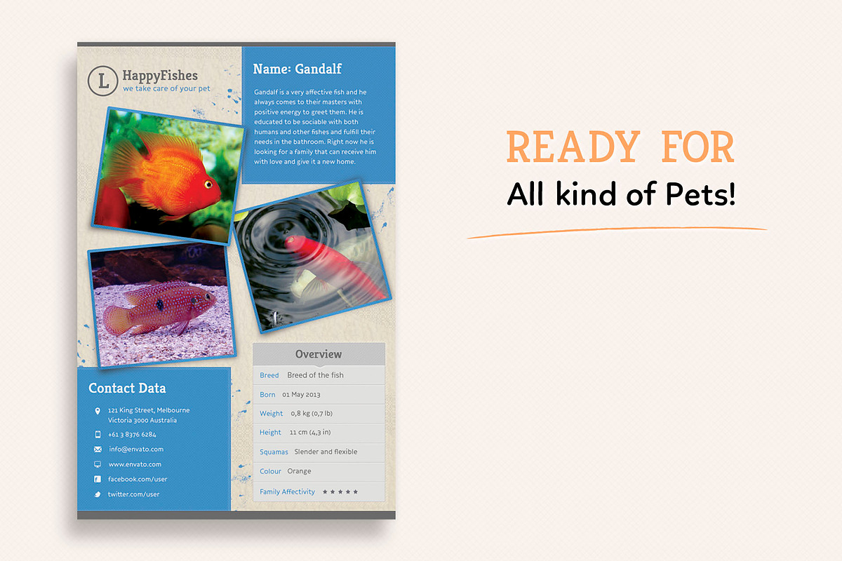 Pet Flyer Gallery, a Flyer Template by Sargatal (Photo 4 of 4)