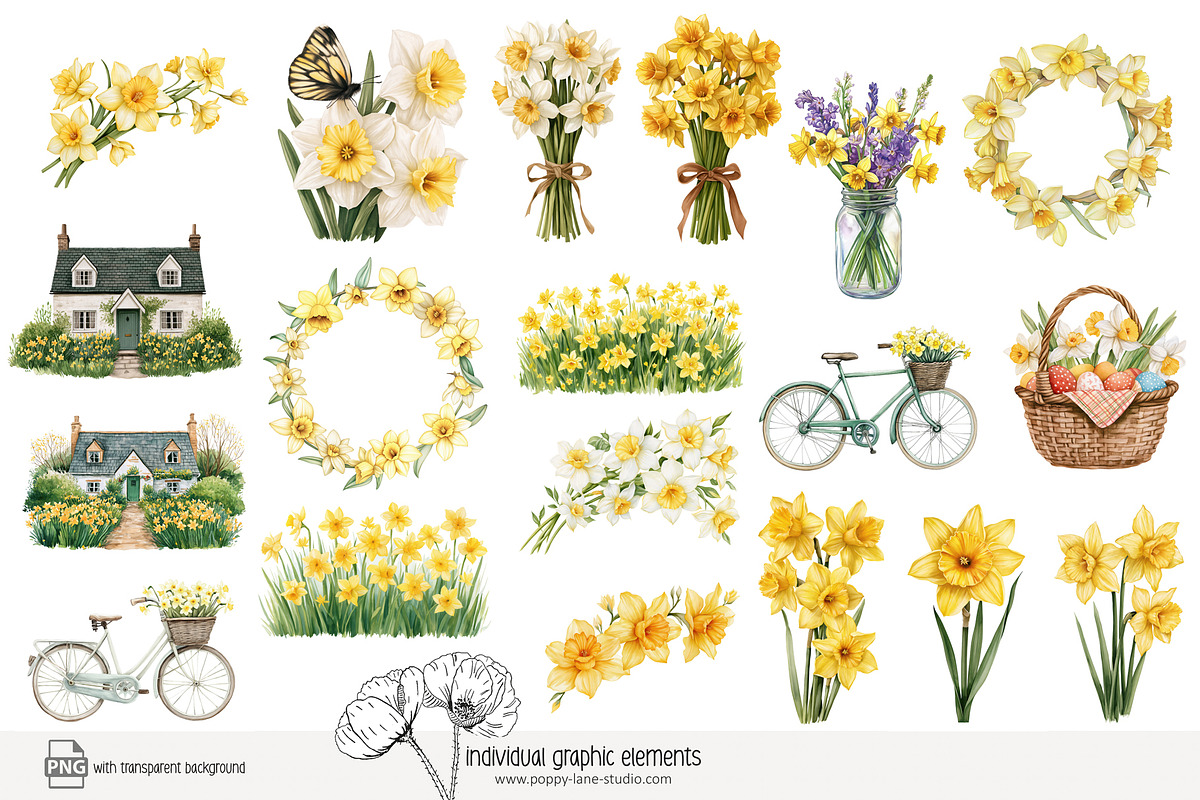 100 watercolour daffodil clip art, a Seasonal Illustration by Poppy Lane Studio (Photo 6 of 12)