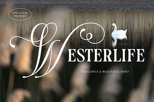 Westerlife - Elegance Serif