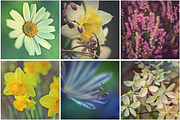 iseeyouphoto SUPAFLORA preview 3