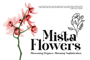 Milgis Elegant Serif Font