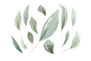 Delicate watercolor leaves painted, an Object Illustration by okskukuruza