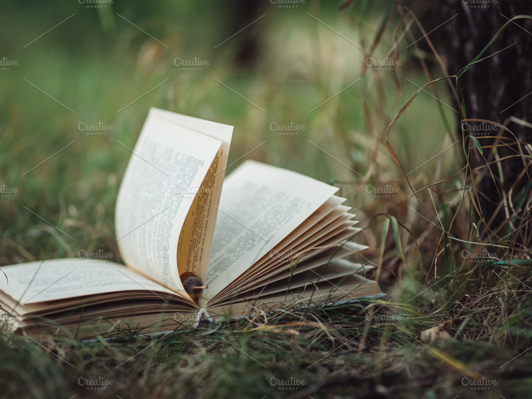 The old book lies on the grass in th featuring book, old, and selective focus, a School & Education Photo by PavelKant