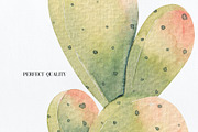 Cacti watercolor collection, an Object Illustration by Skliarova (Thumbnail 10 of 10)