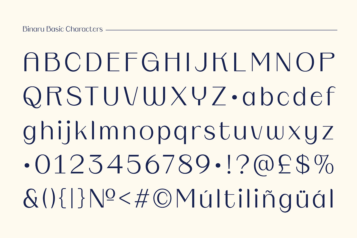 Binaru, a Sans Serif Font by Locomotype (Photo 10 of 10)