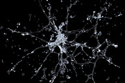 Water explosion, a Food Illustration by Leone_v (Thumbnail 5 of 7)