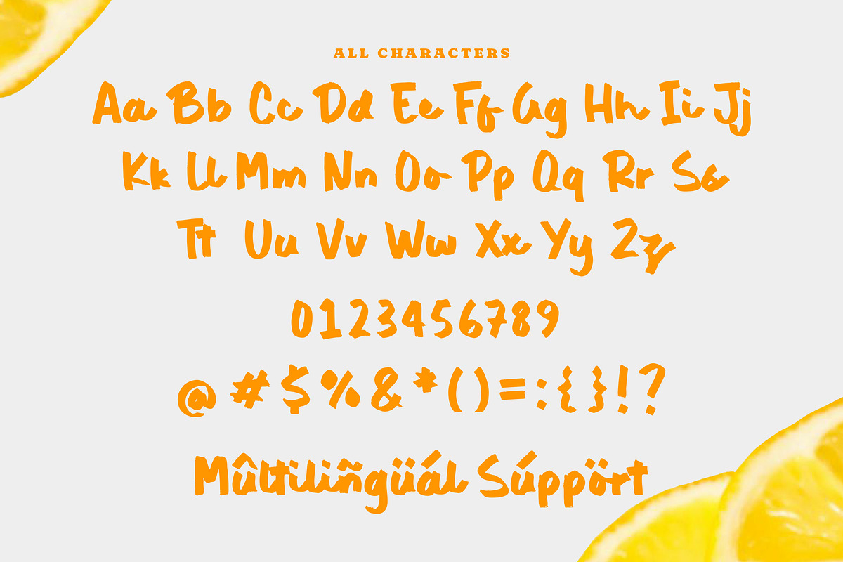 Blondies Antoni Font, a Handwritten Font by Timurtype (Photo 6 of 7)