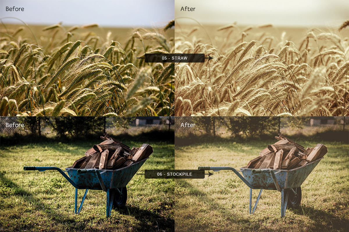 Dreamy Days Lightroom Presets Vol 1, a Preset Add-On by Design Panoply (Photo 4 of 5)