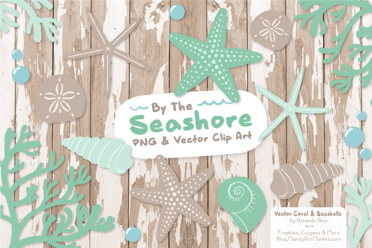 Seashells Clipart in Mint, an Illustration by Amanda Ilkov (Photo 2 of 5)