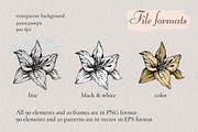 Digital Vintage Flowers, a Decorative Illustration by Onceli*art (Thumbnail 11 of 14)
