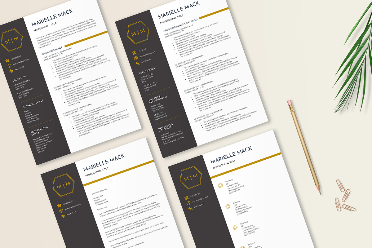 Elegant Resume Template, a Resume Template by Stanin Studio (Photo 7 of 10)