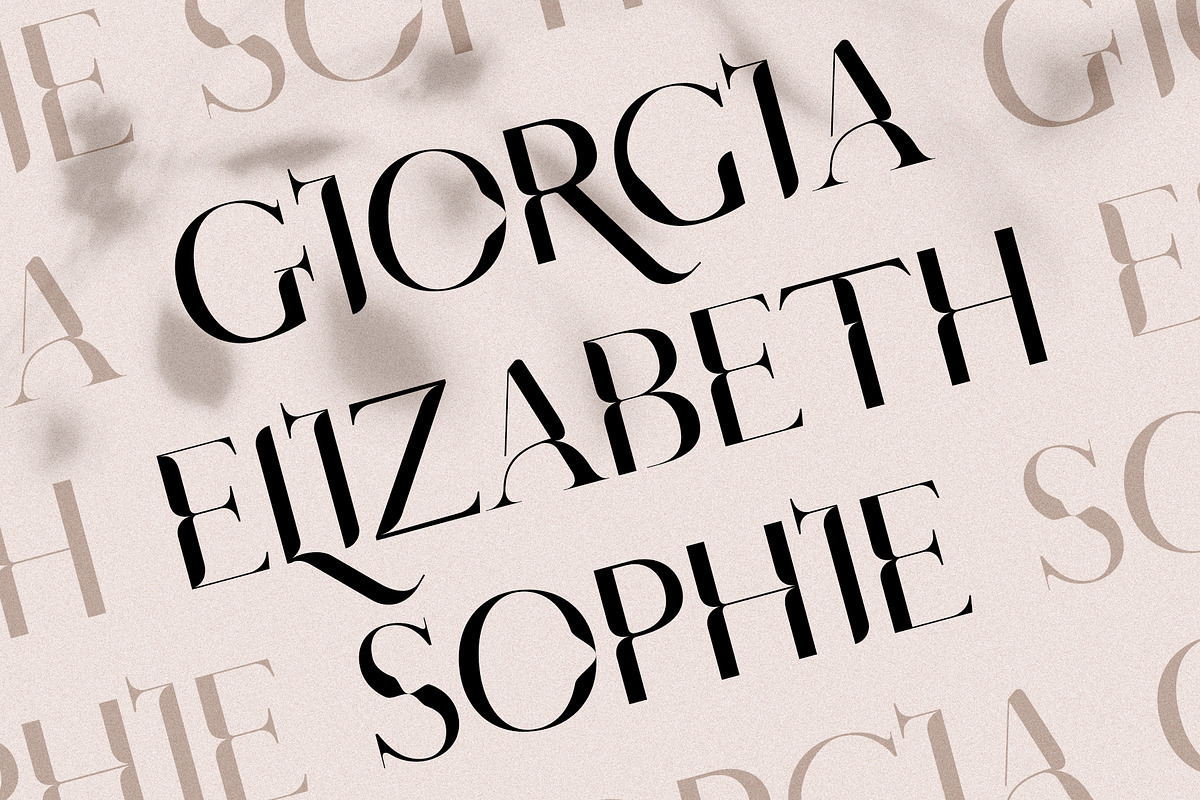 Giorgia - Elegant Ligature Serif, a Serif Font by SilverStag Type Foundry (Photo 7 of 15)