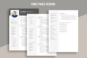 Professional Resume for word, a Resume Template by aivos (Thumbnail 4 of 7)