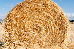 Hay Bales, a Nature Photo by THP Creative