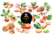 Watercolor Bundle Vector Set, a Food Illustration by Elena Pimonova (Thumbnail 6 of 13)