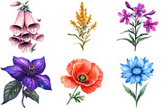 Botanical Forest Wildflower PNG, an Illustration by Watercolor design (Thumbnail 2 of 4)
