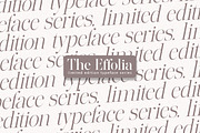 The Effolia | 9-Weight Classy Family, a Serif Font by Pista Mova (Thumbnail 30 of 31)