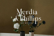 The Almondy Organic Serif, a Serif Font by Letterhend Studio (Thumbnail 8 of 11)