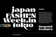 Glosta, a Serif Font by TRF Fonts (Thumbnail 4 of 18)
