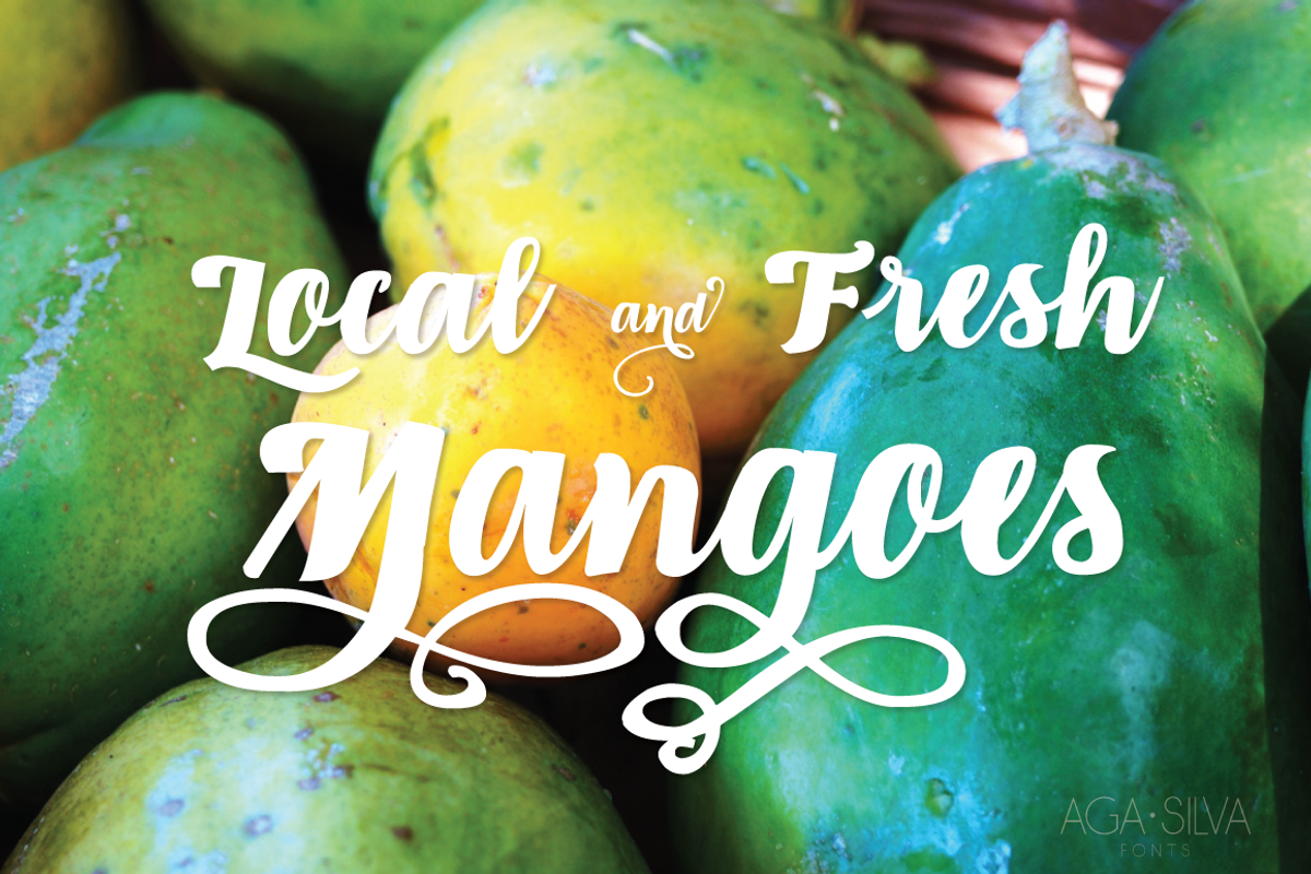 Piambis Family | three fonts incl. preview 4