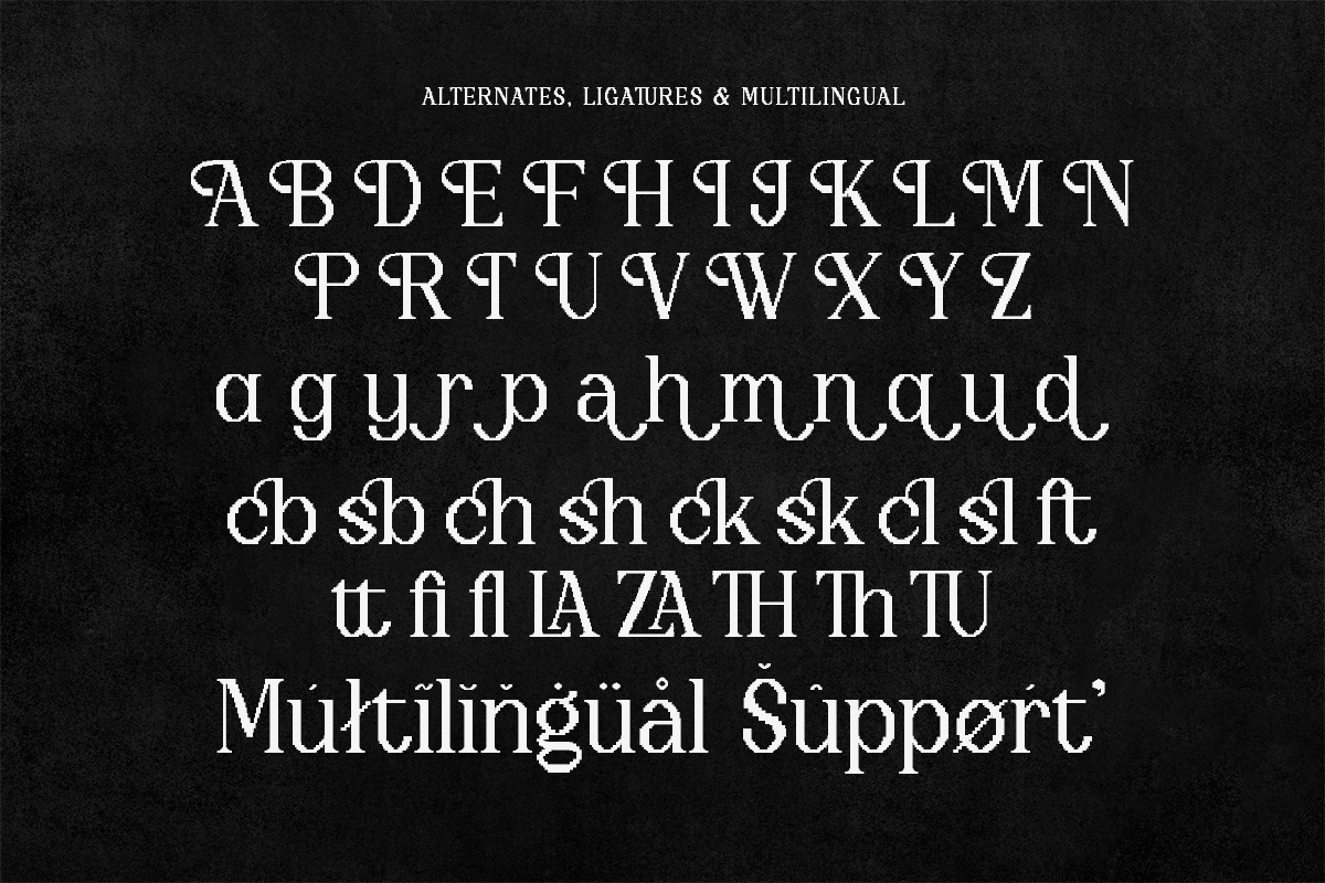 Trapix - A Unique Pixel-Style Serif, a Serif Font by Shakira Studio (Photo 9 of 10)