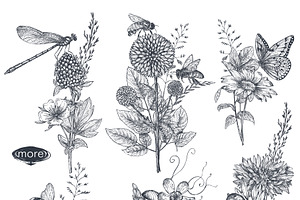 Insects And Wildflowers Vector Set