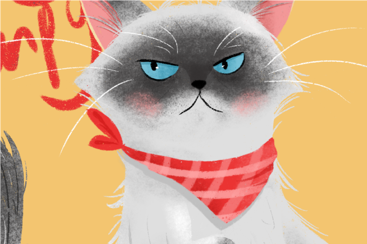Cemong the Grumpy Cat, an Animal Illustration by Artnivora.Std (Photo 3 of 5)