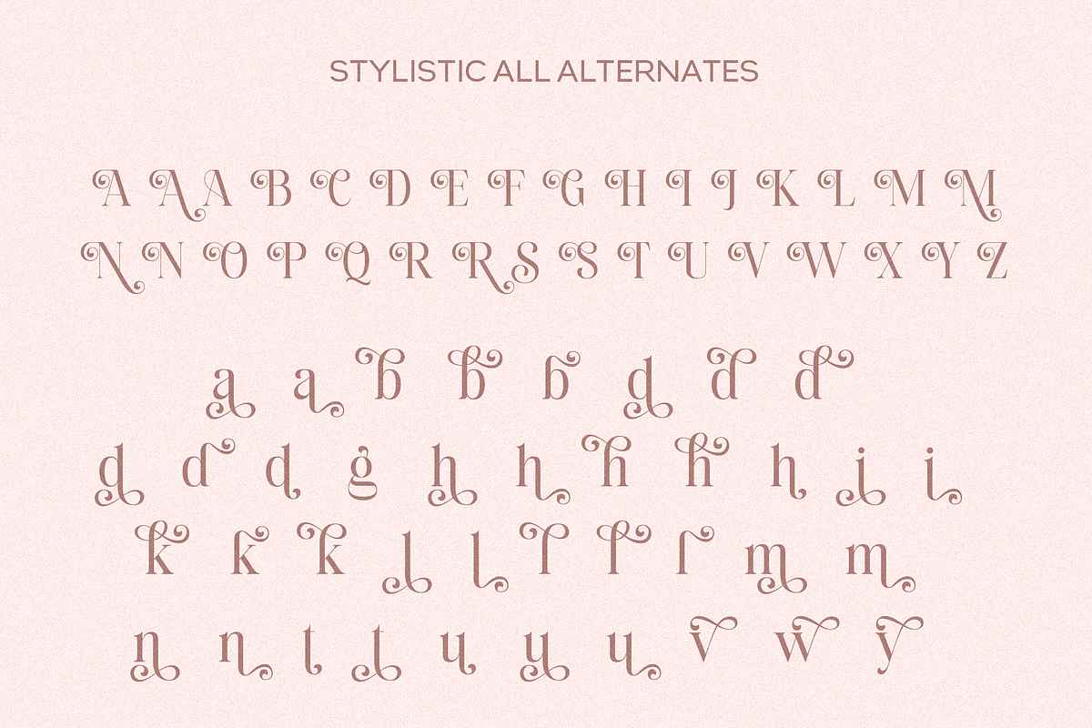 Sharon Springs, a Serif Font by Dora Typefoundry (Photo 8 of 11)
