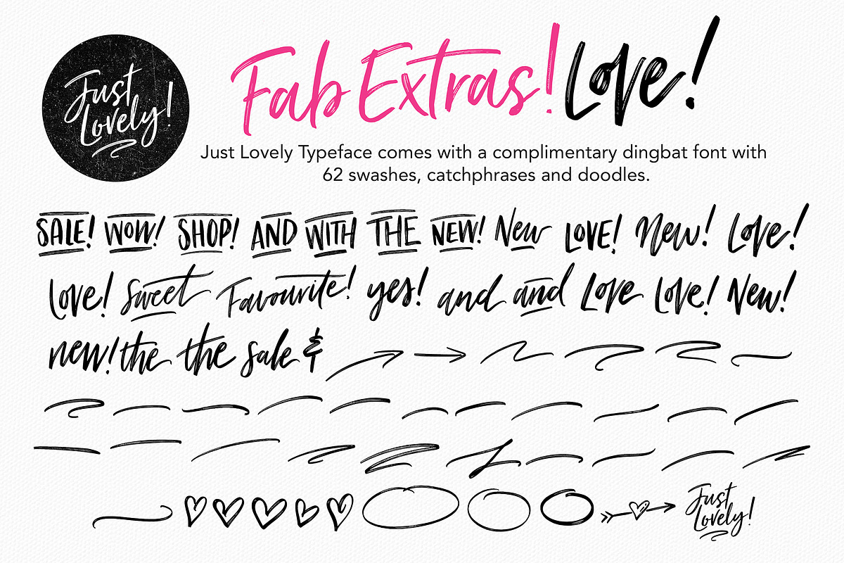Just Lovely Font & Extras, a Script Font by Nicky Laatz (Photo 16 of 17)