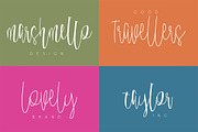 Malloy Font with Elements, a Script Font by WCKY.STD (Thumbnail 6 of 7)