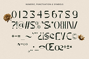 Display Sans Serif - Erhofa, a Sans Serif Font by Font Liner (Thumbnail 10 of 10)