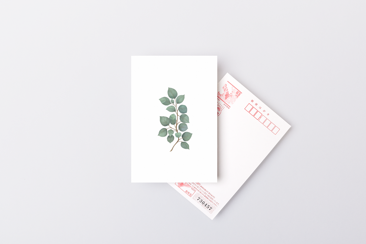 60 Watercolor Eucalyptus PNG Clipart, a Graphic by Graphicspixel (Photo 6 of 10)