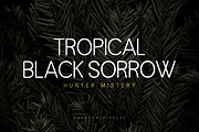 Houston, a Serif Font by Gatype (Thumbnail 5 of 10)
