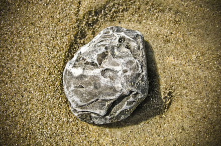Beach Shells preview 3
