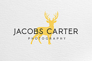 Baroneys - Vintage Typeface, a Sans Serif Font by sancreastd. (Thumbnail 8 of 11)