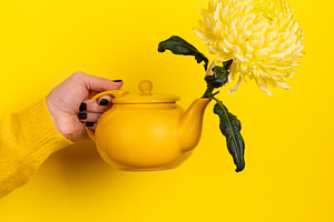 Hand holding a yellow teapot with vibrant chrysanthemum flower a, a Holiday Photo by Ales Munt