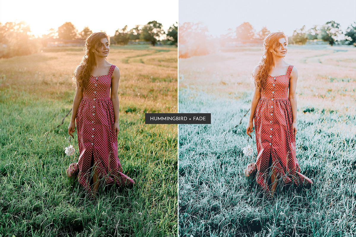 HummingBird Lightroom Presets Pack, an Action Add-On by PixelHive Pro (Photo 3 of 9)