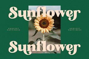 Bright Sunlist Modern Vintage Serif