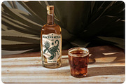 Agave & Tequila Vintage Vectors, an Object Graphic by Craftrick (Thumbnail 2 of 9)