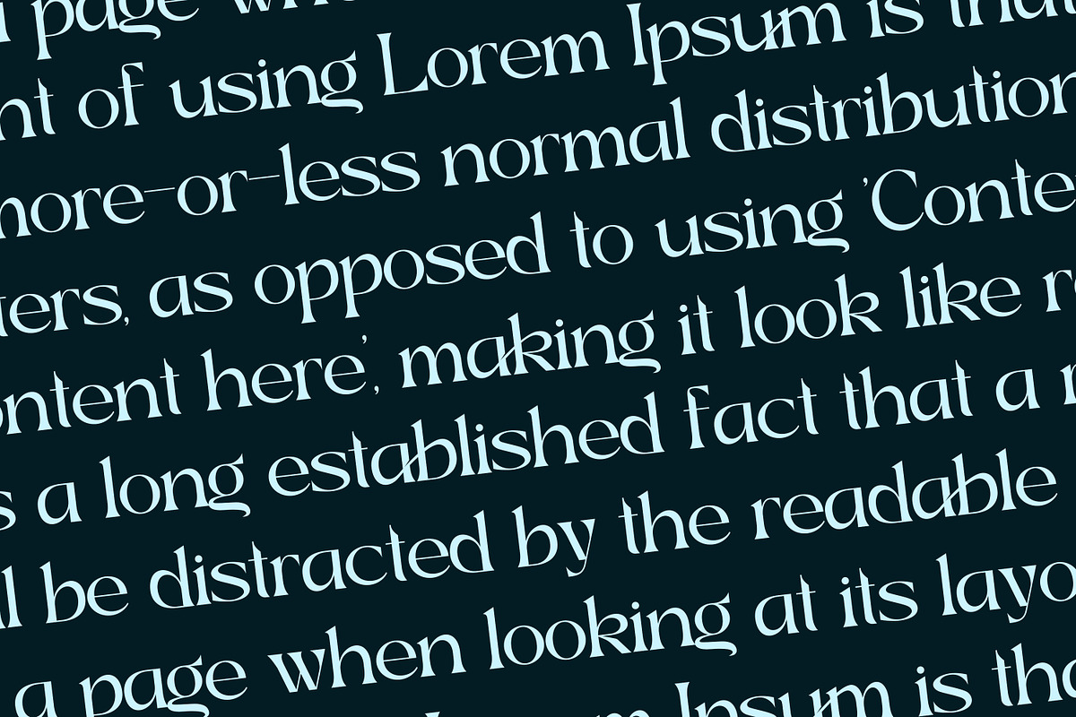 Bahgian Serif Fonts, a Serif Font by mahstudios (Photo 9 of 14)