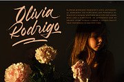 Pluretta Vintage Modern Brush Font, a Serif Font by Letterena Studios Script (Thumbnail 6 of 20)