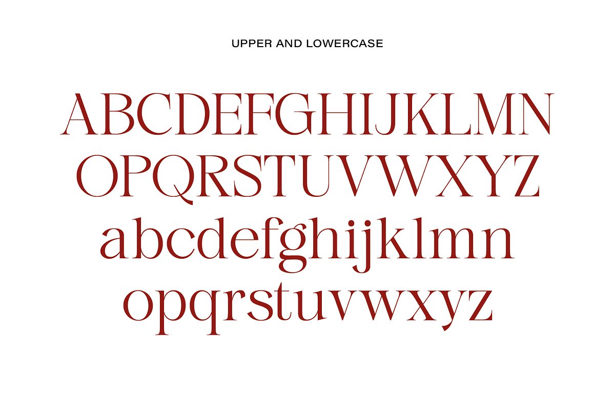 Gladier - A Modern Serif Font, a Serif Font by Comactype Foundry (Photo 20 of 22)