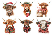 Christmas Highland Cow Clipart, an Illustration by Daily.Designs (Thumbnail 2 of 5)