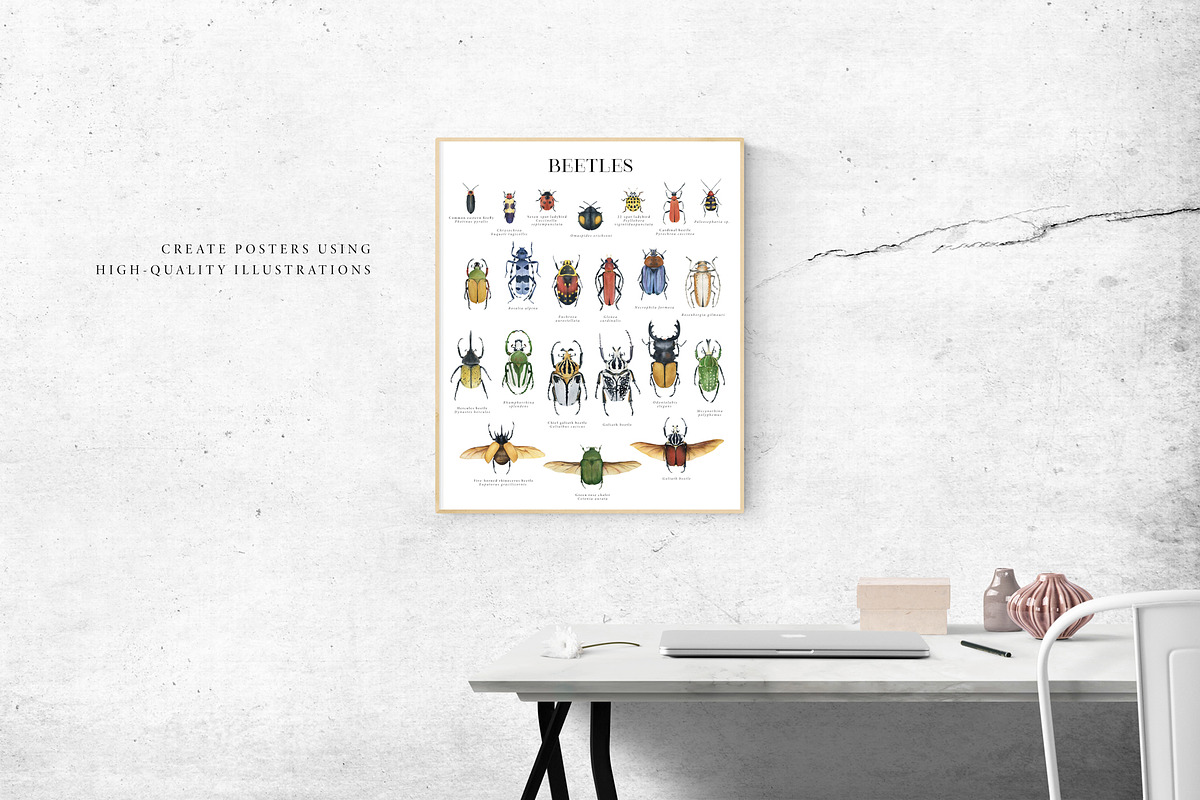 Beetles watercolor collection, an Animal Illustration by Diana Askarova Art (Photo 8 of 12)
