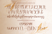 Dilan Whemsy - Modern Script Font, a Script Font by StringLabs (Thumbnail 9 of 11)