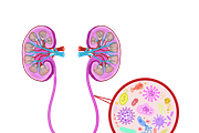 Biology & Anatomy goodnotes stickers, an Education Illustration by Noorist (Thumbnail 5 of 32)