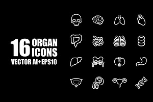 icon organ medical set