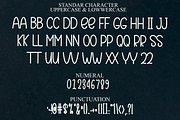 Quickly, a Serif Font by FreshTypeINK (Thumbnail 7 of 8)